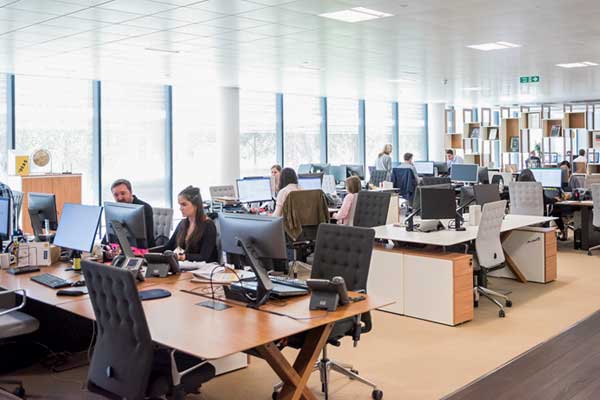 Workplace Investigations Workplace Investigations